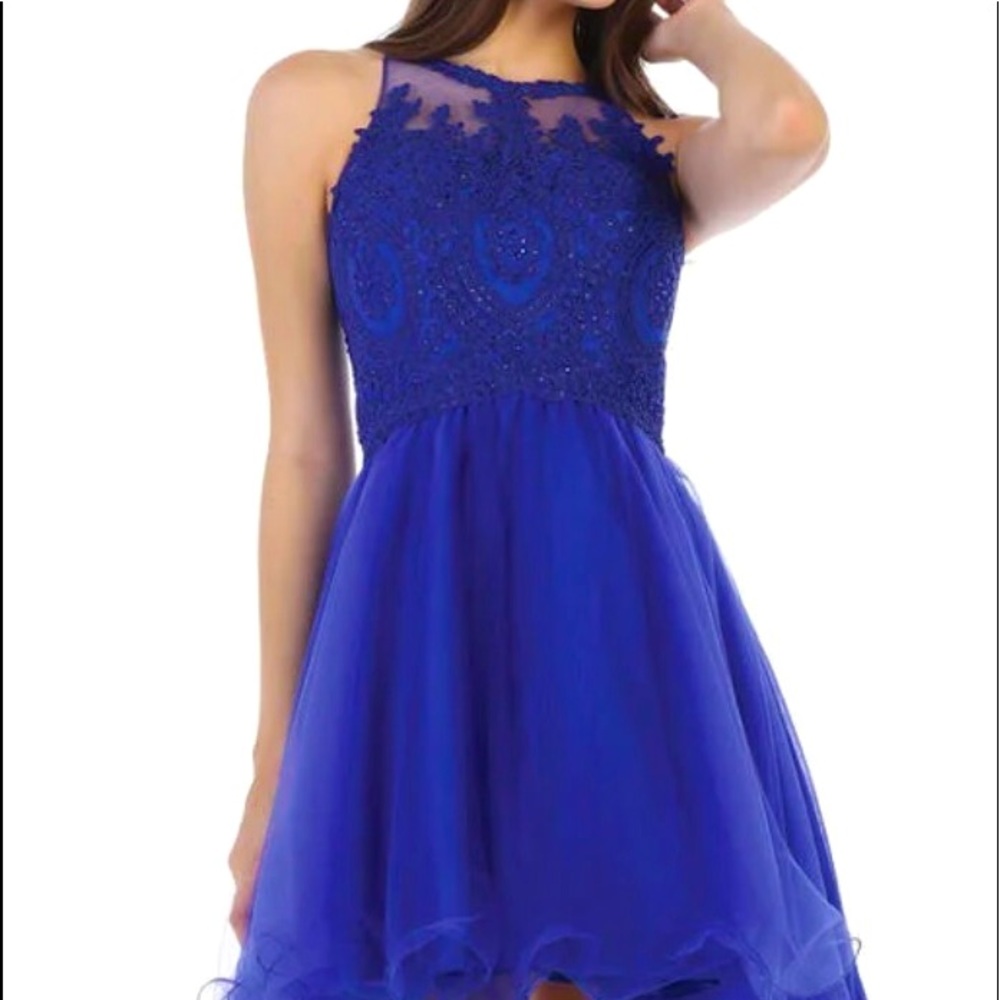 CINDY COLLECTION USA-EMBROIDERED TULLE FIT&FLARE DRESS IN ROYAL BLUE Juniors 3X